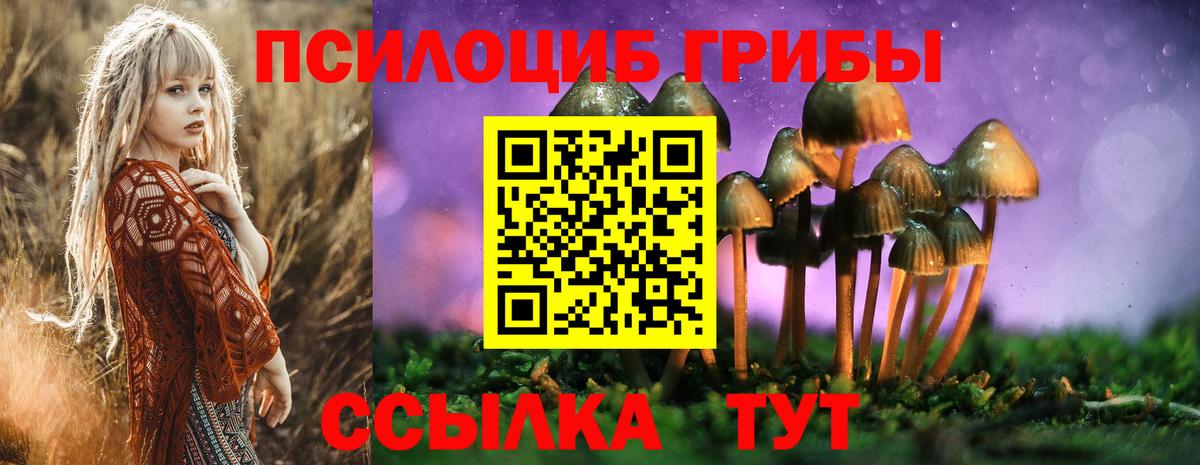 Галлюциногенные грибы Magic Shrooms  Вход с VPN  Лениногорск 